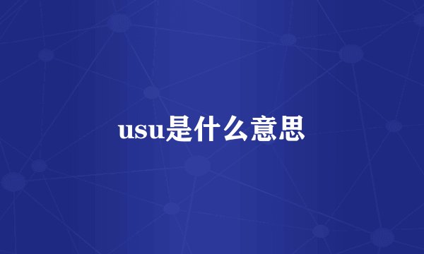 usu是什么意思
