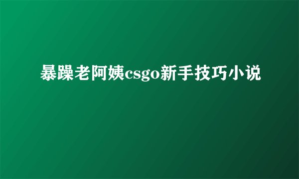 暴躁老阿姨csgo新手技巧小说