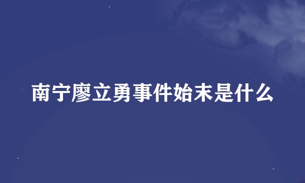 南宁廖立勇事件始末是什么