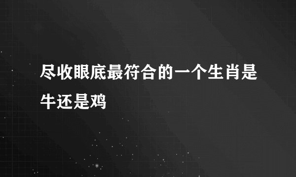 尽收眼底最符合的一个生肖是牛还是鸡