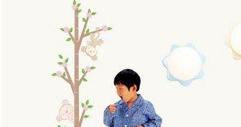 贴贴高有用吗