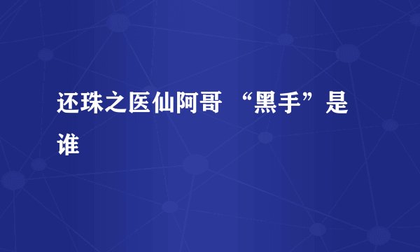 还珠之医仙阿哥 “黑手”是谁