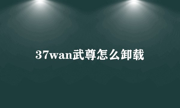 37wan武尊怎么卸载