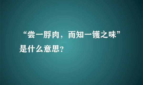 “尝一脬肉，而知一镬之味”是什么意思？