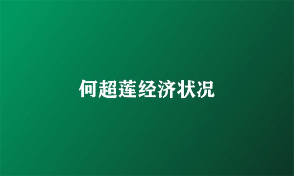 何超莲经济状况