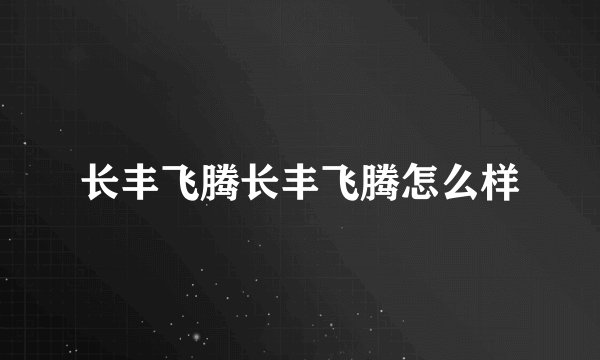 长丰飞腾长丰飞腾怎么样