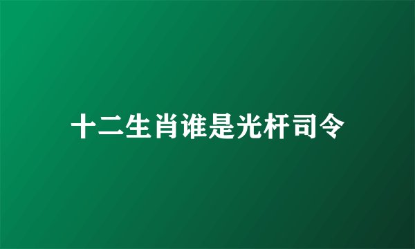 十二生肖谁是光杆司令