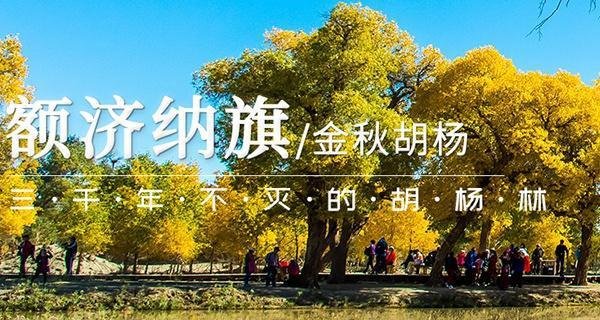 广州哪个旅行社口碑好？-广州旅游公司排名前十名