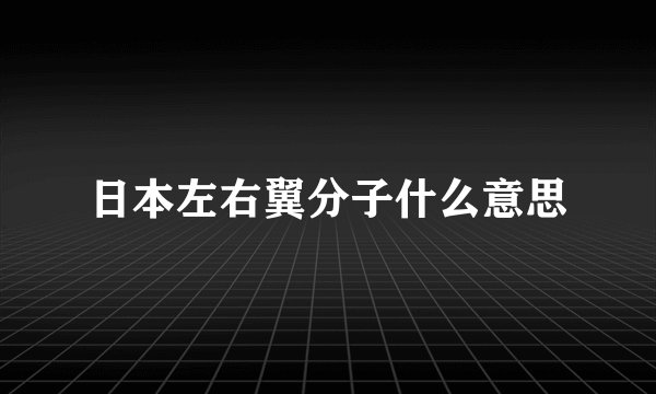 日本左右翼分子什么意思