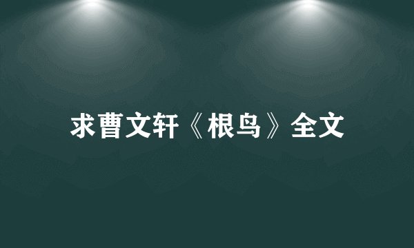 求曹文轩《根鸟》全文
