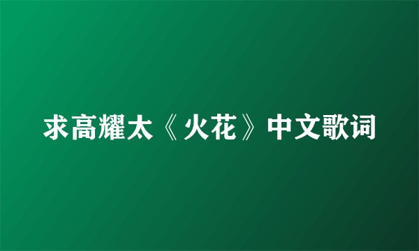 求高耀太《火花》中文歌词