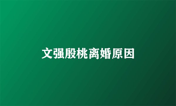 文强殷桃离婚原因