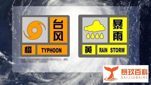 上海明后天暴雨到大暴雨