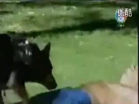极品流氓采花录的章节列表