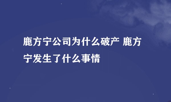 鹿方宁公司为什么破产 鹿方宁发生了什么事情