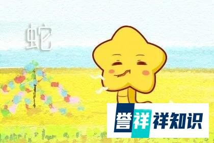 2025披麻戴孝的生肖 有重孝的属相