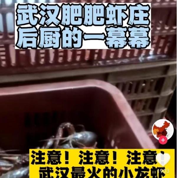 武汉一知名虾店用黑油死虾 网友：这种黑心商家要罚到它破产
