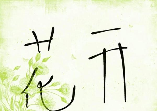 如何打开图种