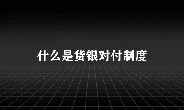 什么是货银对付制度