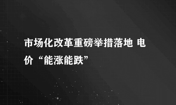 市场化改革重磅举措落地 电价“能涨能跌”