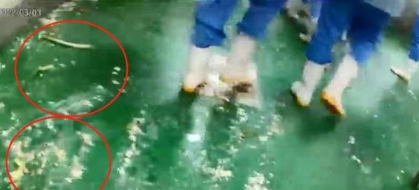 天津配餐公司违规脏乱差实锤！