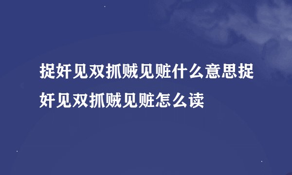 捉奸见双抓贼见赃什么意思捉奸见双抓贼见赃怎么读