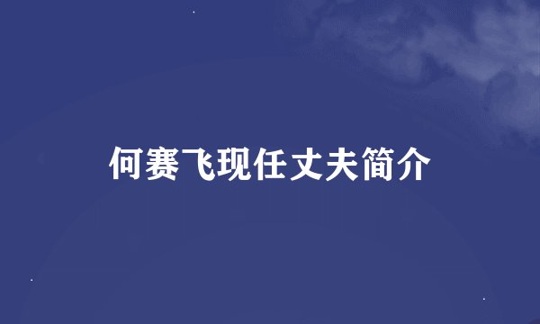 何赛飞现任丈夫简介