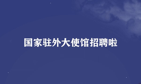 国家驻外大使馆招聘啦