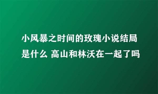 小风暴之时间的玫瑰小说结局是什么 高山和林沃在一起了吗