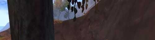 怎样完成《神魔大陆》任务：特别篇礼物