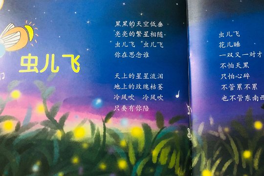 天上的星星流泪 地上的玫瑰枯萎歌曲