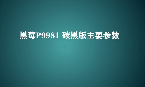 黑莓P9981 碳黑版主要参数