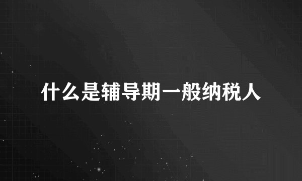 什么是辅导期一般纳税人