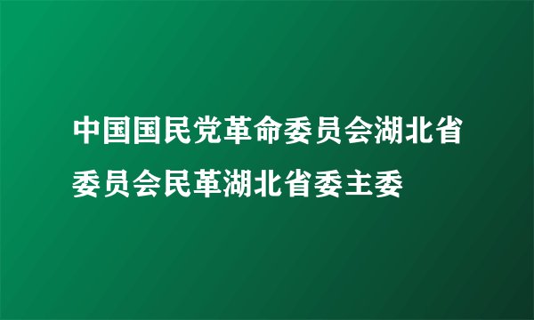 中国国民党革命委员会湖北省委员会民革湖北省委主委