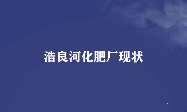 浩良河化肥厂现状