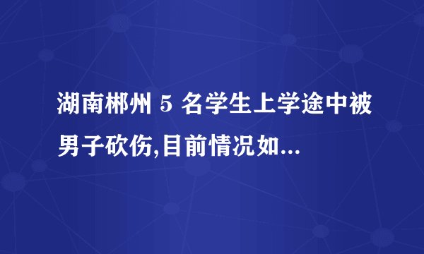 湖南郴州 5 名学生上学途中被男子砍伤,目前情况如何?还有