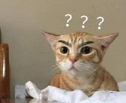 人民日报知多少|你了解人民日报的署名吗？