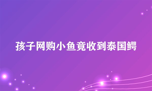 孩子网购小鱼竟收到泰国鳄