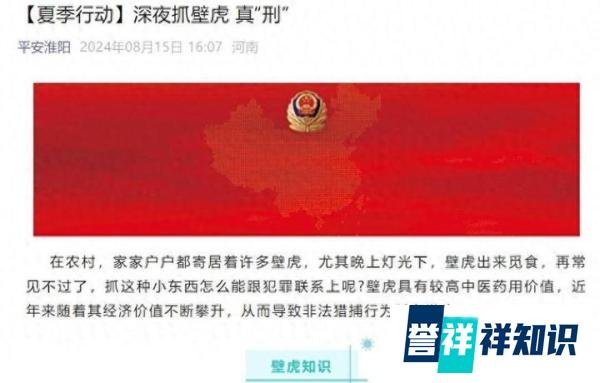 河南周口2名男子捕捉44只壁虎被刑拘，警方：捉1只即违法！