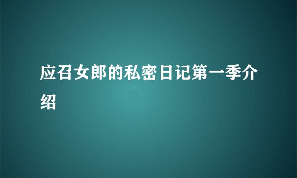 应召女郎的私密日记第一季介绍