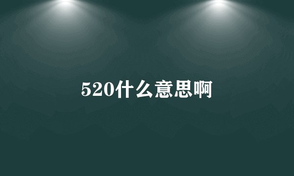 520什么意思啊