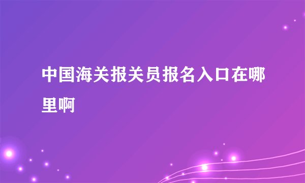中国海关报关员报名入口在哪里啊