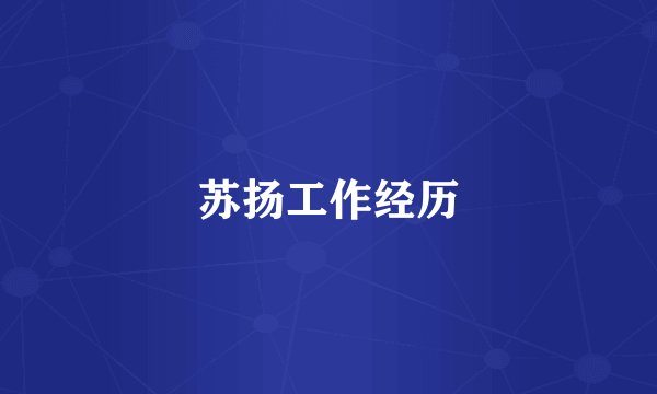 苏扬工作经历