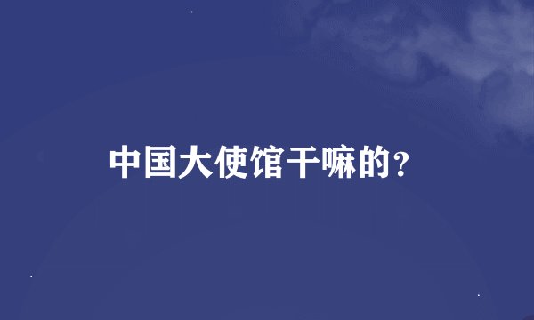 中国大使馆干嘛的？
