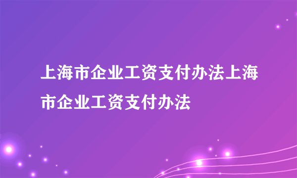 上海市企业工资支付办法上海市企业工资支付办法