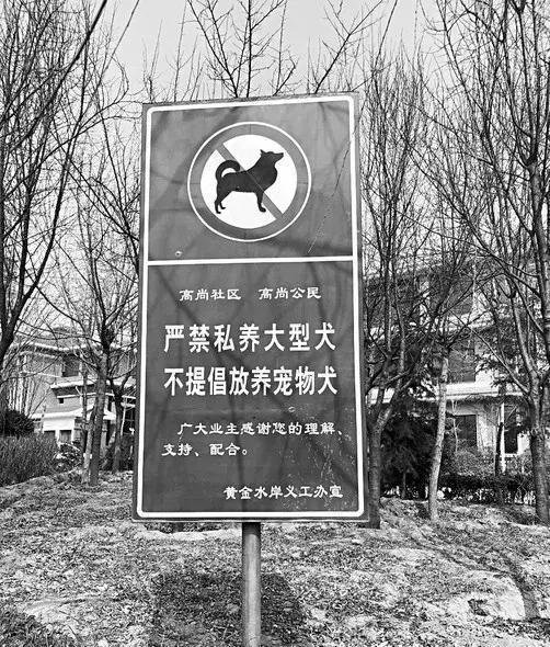 养狗的人必须放弃养狗才能买新房？
