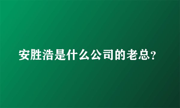 安胜浩是什么公司的老总？