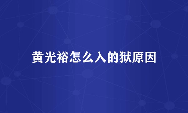 黄光裕怎么入的狱原因