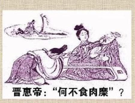 食糜是啥意思