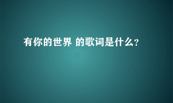 有你的世界 的歌词是什么？